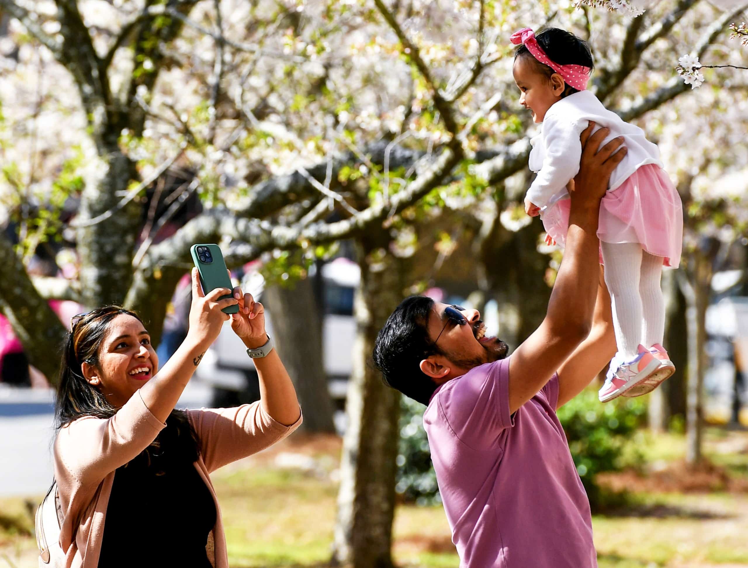 A man lifts a smiling baby toward blooming cherry blossoms while a woman takes their photo beneath the trees during Macon’s 2025 International Cherry Blossom Festival.